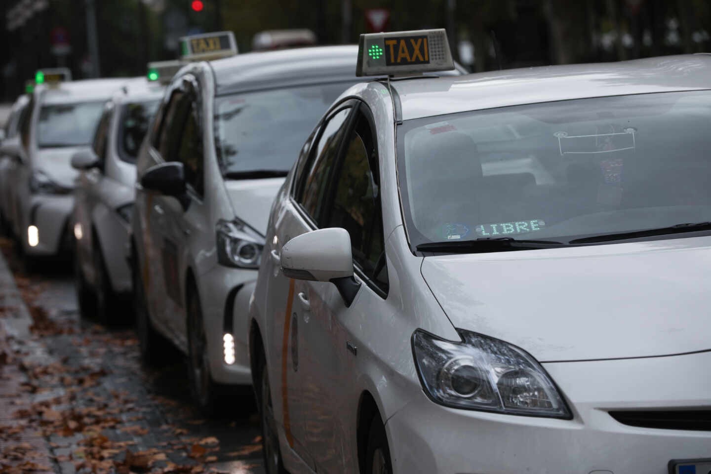 Varios taxis a la espera de clientes, guardan turno en una parada.