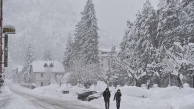 Bienvenido, invierno: alerta amarilla por heladas en el interior peninsular