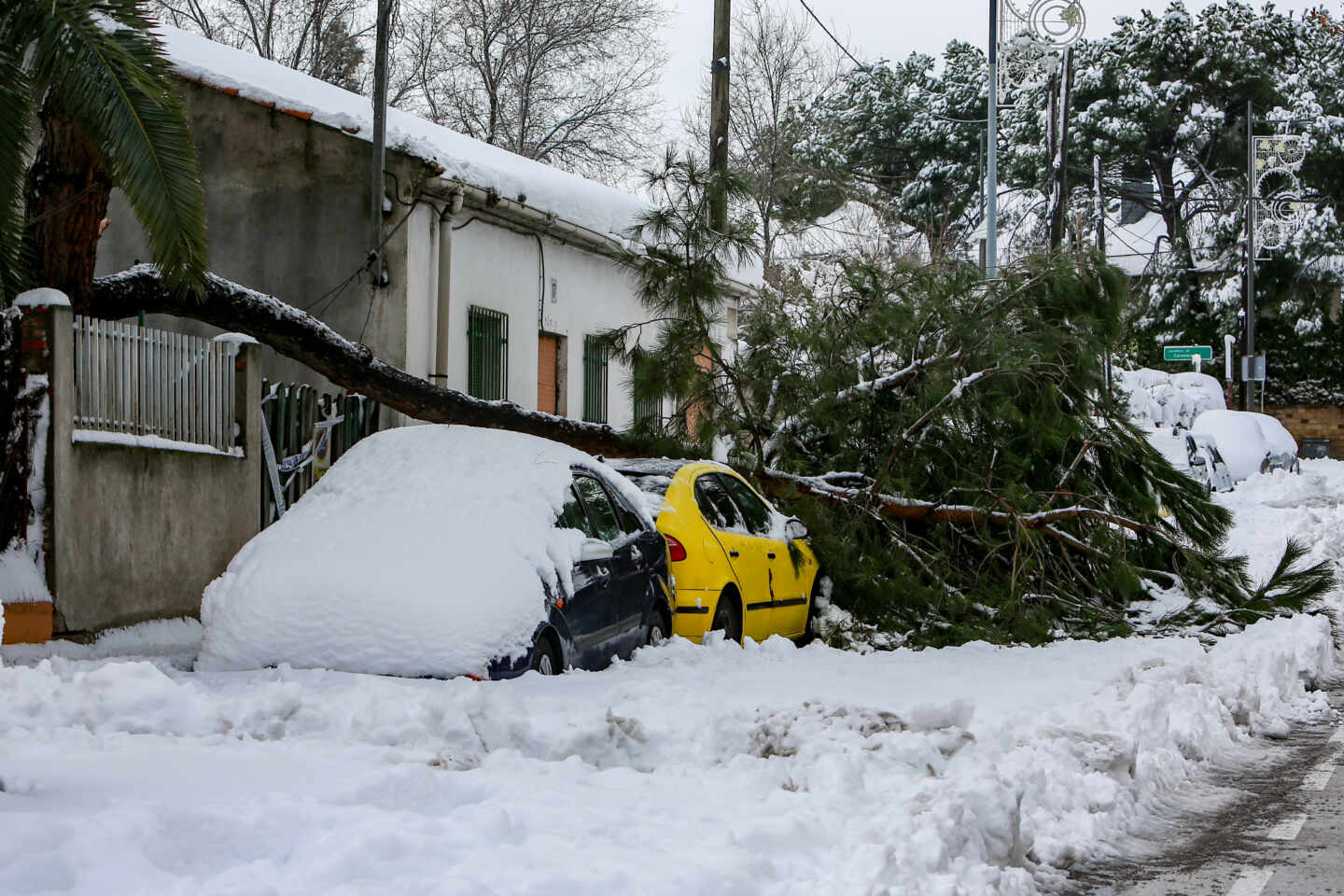 coche-nieve-arbol