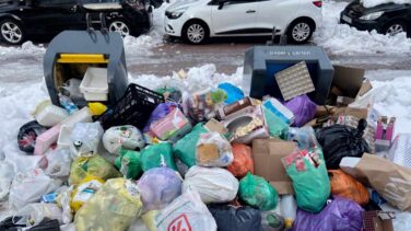 Plagas de ratas o cucarachas en las basuras: el aviso de las empresas de sanidad ambiental