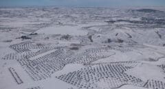 Greenpeace fotografía el efecto de 'Filomena' sobre la España rural desde el aire