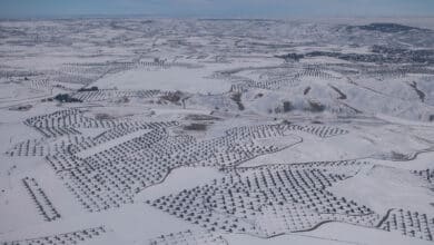 Greenpeace fotografía el efecto de 'Filomena' sobre la España rural desde el aire