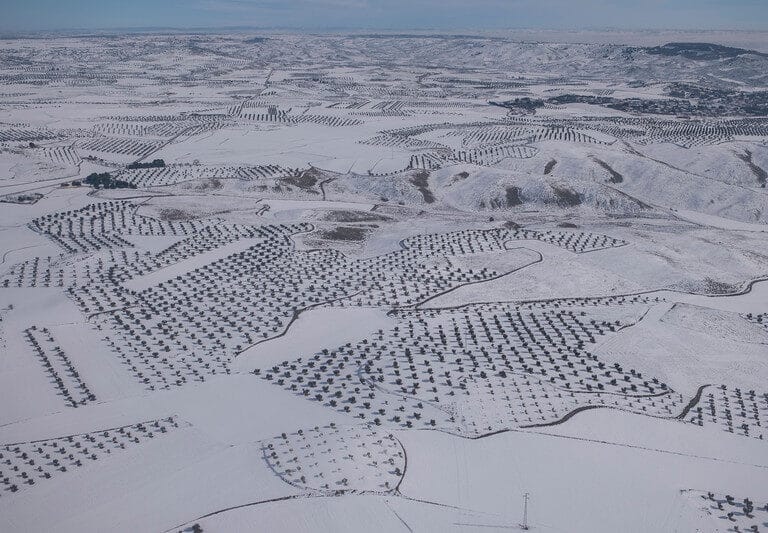 Greenpeace fotografía el efecto de 'Filomena' sobre la España rural desde el aire