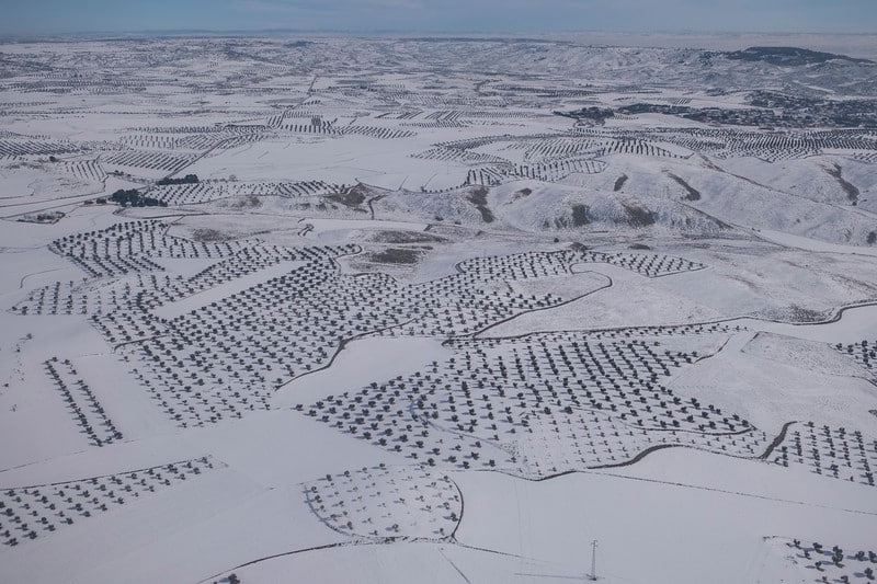 Greenpeace fotografía el efecto de 'Filomena' sobre la España rural desde el aire