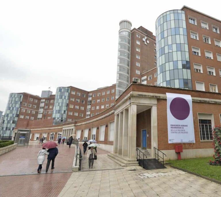 El 'annus horribilis' en el que la sanidad vasca perdió su brillo