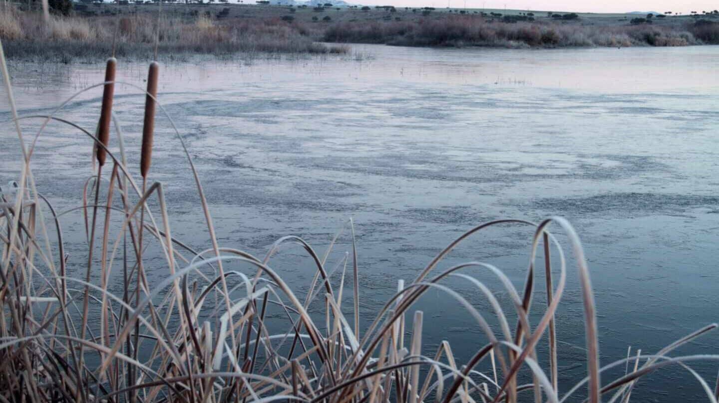 Restos de ramas en cauces, las lluvias causarían inundaciones por su falta de limpieza