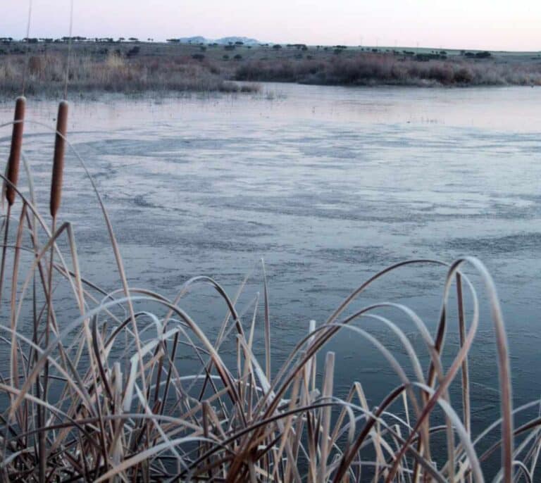 Restos de ramas en cauces, las lluvias causarían inundaciones por su falta de limpieza