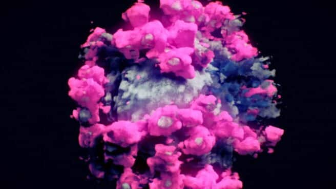 Researchers create 3D images of SARS-CoV-2 viruses from snap-frozen samples