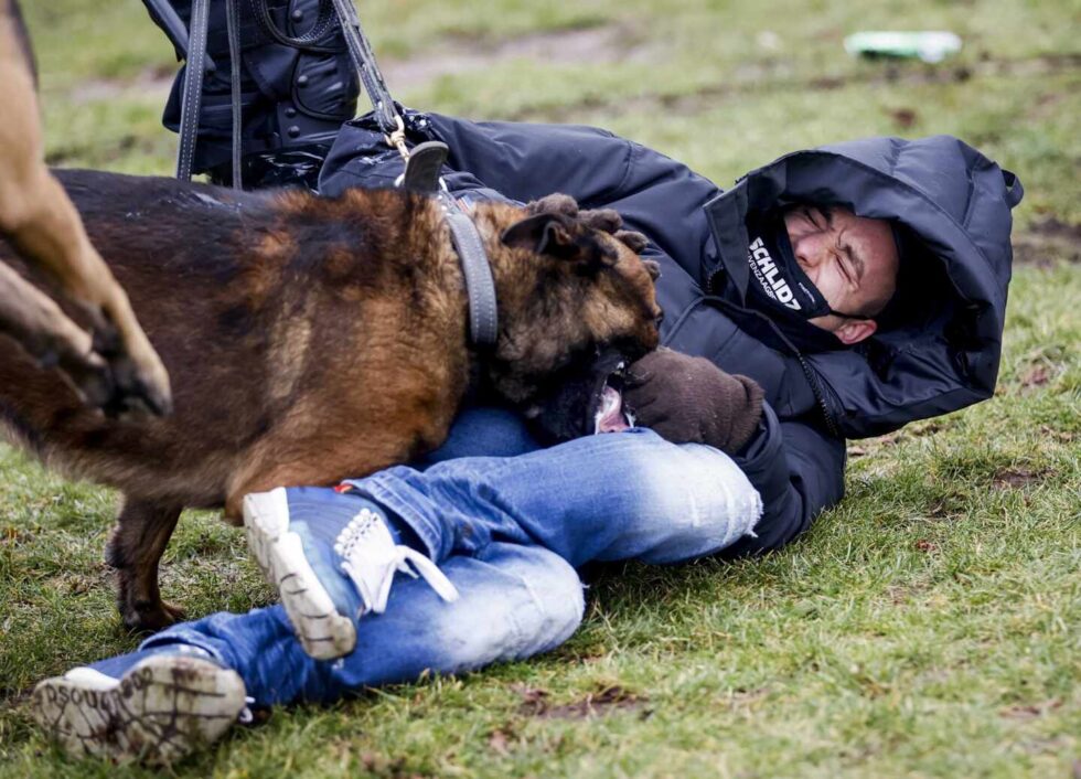 Un manifestante es atacado por un perro en la Museumplein, en Ámsterdam, Países Bajos.