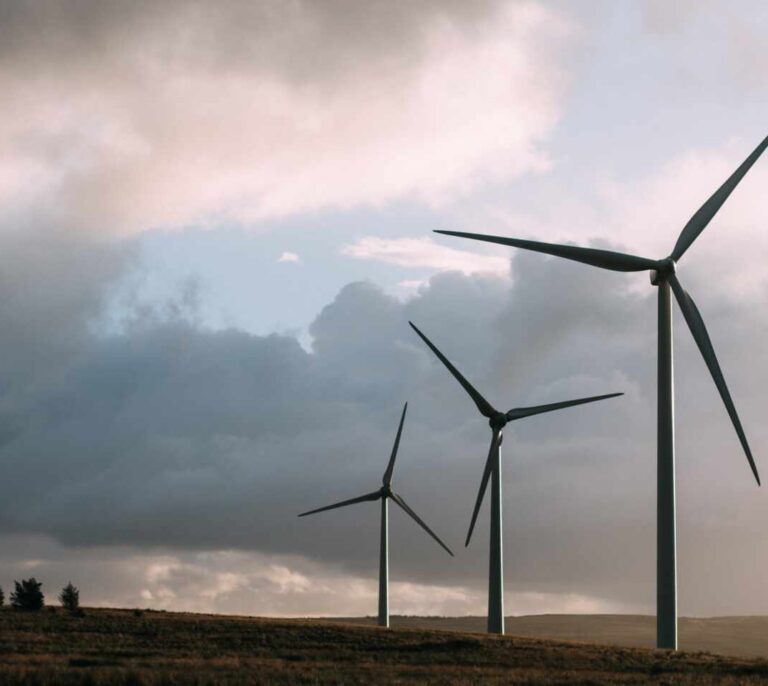 Repsol, Iberdrola, Endesa y Naturgy aguardan la irrupción de nuevos protagonistas por las subastas renovables