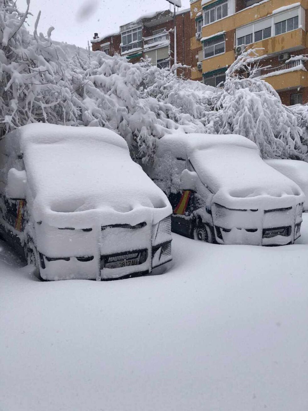 Furgones de la Policía Nacional cubiertos de nieve.