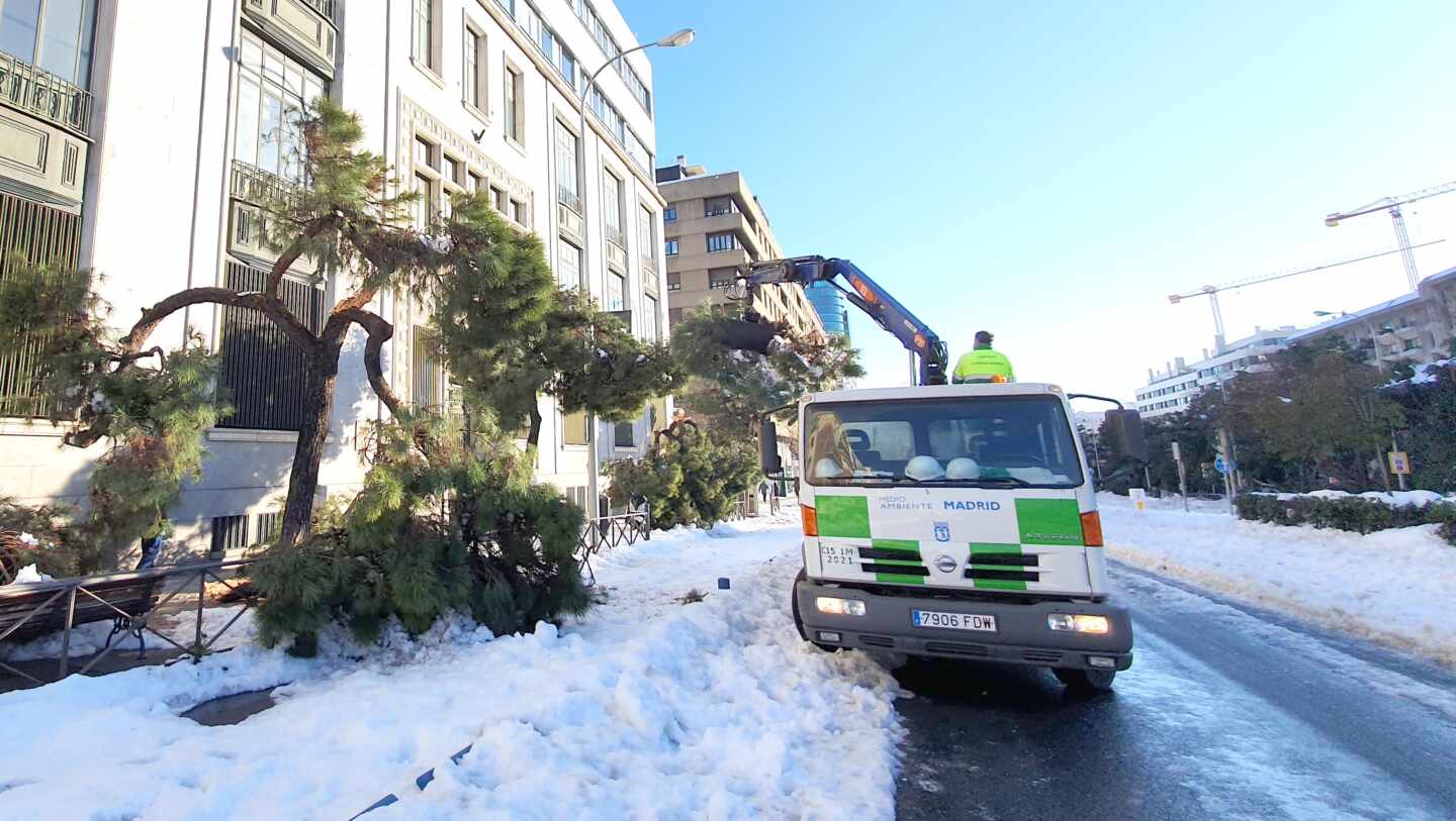 Operarios del Ayuntamiento de Madrid recogen, el lunes, ramas caídas tras el paso el fin de semana del temporal filomena.