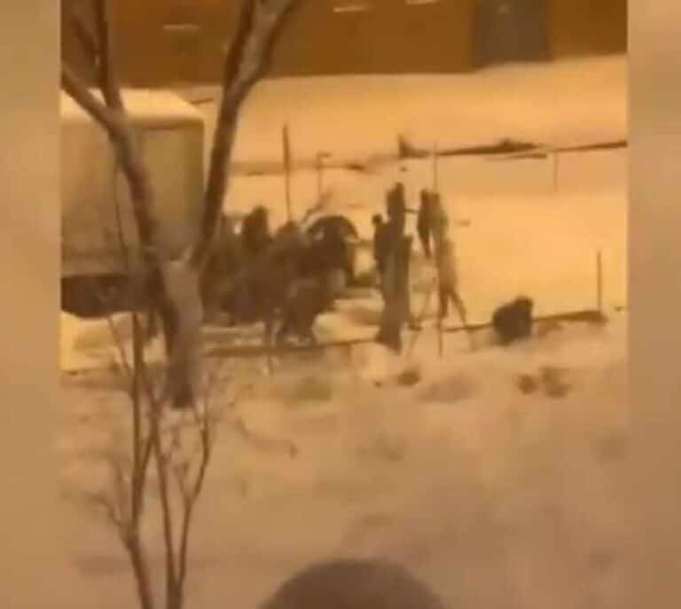 Saquean un camión con 20.000 kilos de comida que quedó atrapado por la nieve