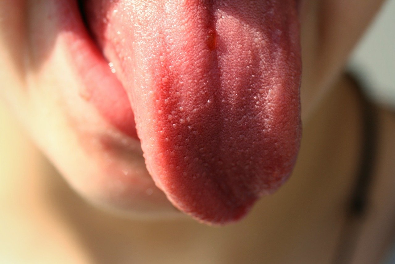 Lengua.