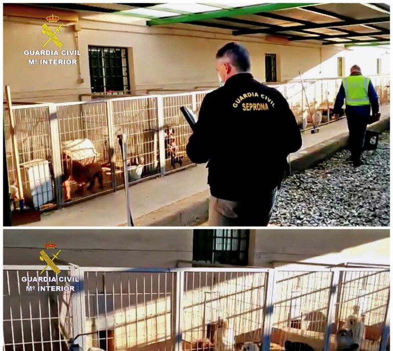 Detenidos un criador y un veterinario por cortar a diez perros las cuerdas vocales