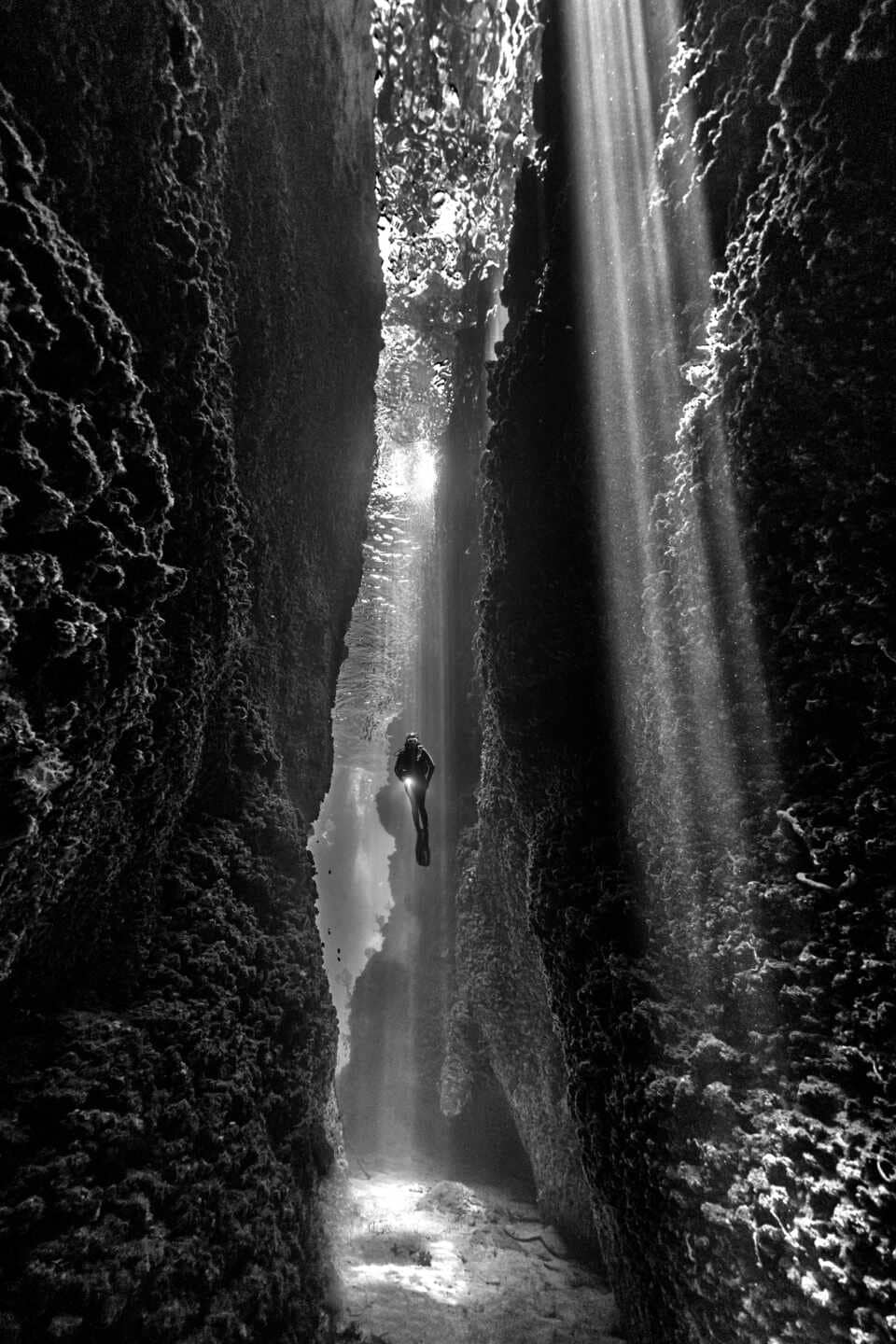 Fotografía submarina en Leru Cut en las Islas Salomón de Renee Capozzola