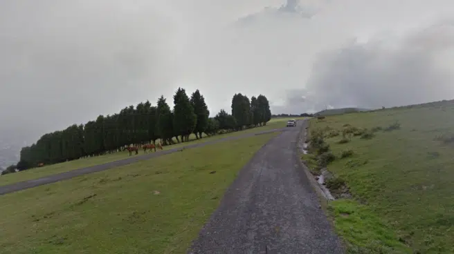 Muere un ciclista en Baracaldo tras chocar contra un árbol durante el descenso del monte Argalario