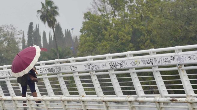 Una veintena de provincias, en aviso hoy por lluvias, viento, oleaje y nieve Un persona se protege de la lluvia y el viento caminando por la pasarela peatonal de la Cartuja en un día lluvioso y con fuertes rachas de viento en la provincia. En Sevilla