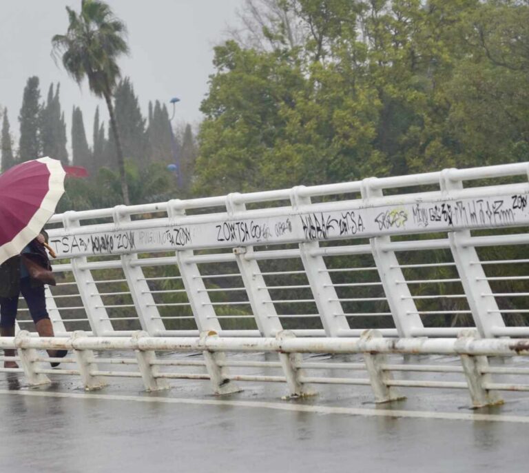 Una veintena de provincias, en aviso hoy por lluvias, viento, oleaje y nieve