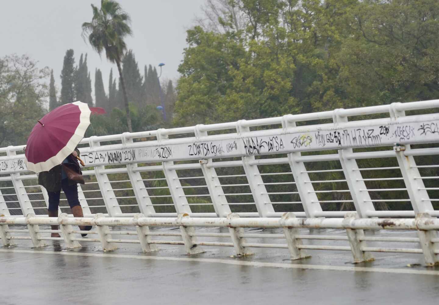 Un persona se protege de la lluvia y el viento caminando por la pasarela peatonal de la Cartuja en un día lluvioso y con fuertes rachas de viento en la provincia. En Sevilla