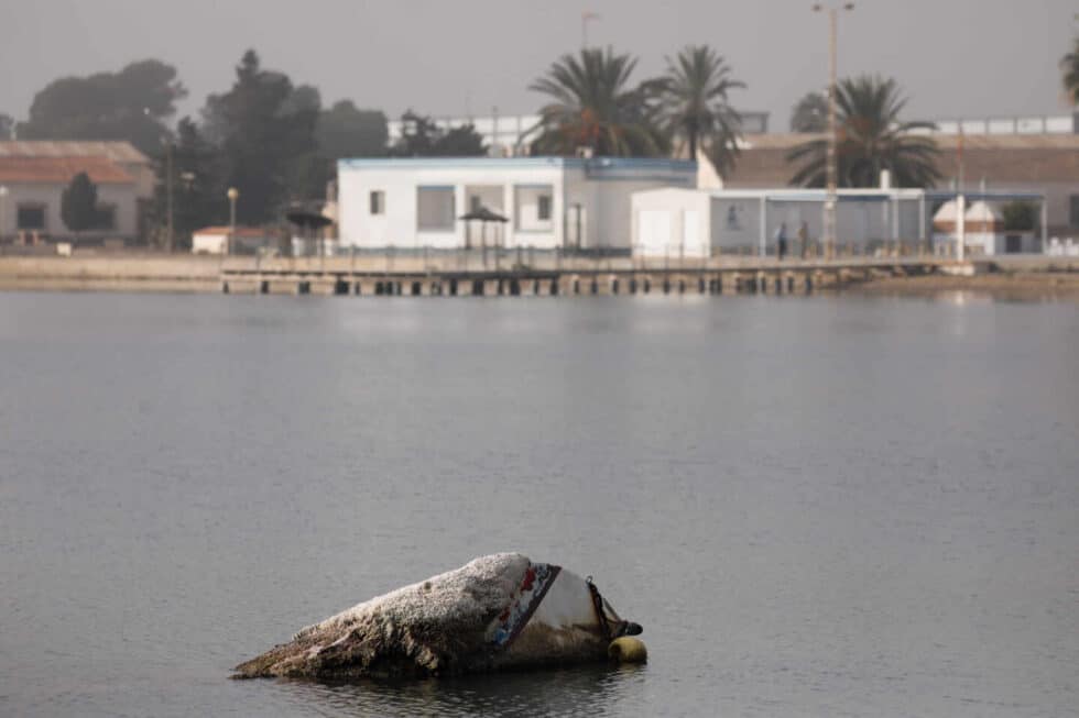 Un barco abandonado en el Mar Menor