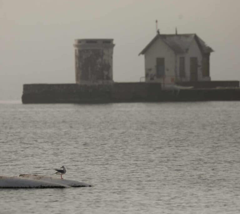 Extraer agua del Campo de Cartagena solucionaría la contaminación del Mar Menor
