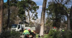 Madrid reabre dos accesos de El Retiro y la Casa de Campo de forma parcial