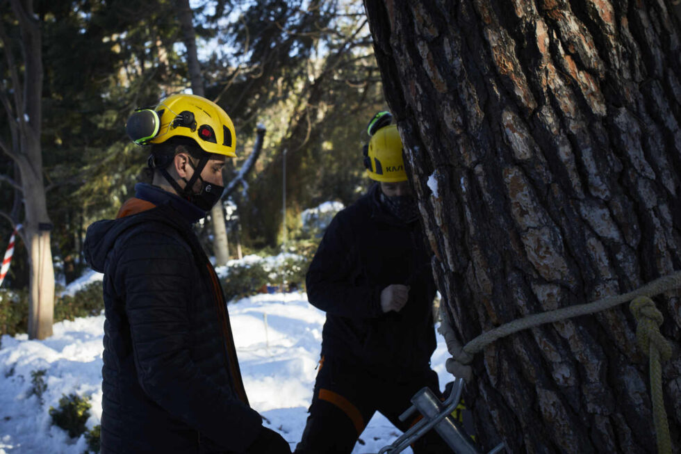 Madrid reabre dos accesos de El Retiro y la Casa de Campo de forma parcial (2)