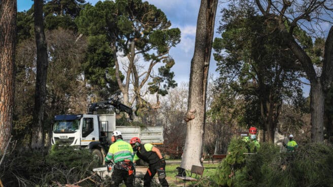Madrid reabre dos accesos de El Retiro y la Casa de Campo de forma parcial Madrid reabre dos accesos de El Retiro y la Casa de Campo de forma parcial