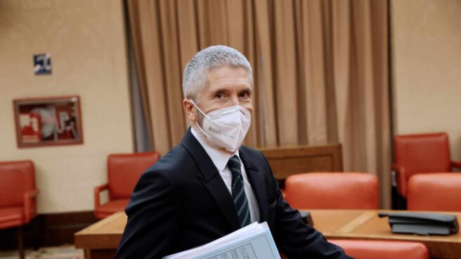 El ministro del Interior, Fernando Grande-Marlaska, en el Congreso. El ministro del Interior, Fernando Grande-Marlaska, en el Congreso.