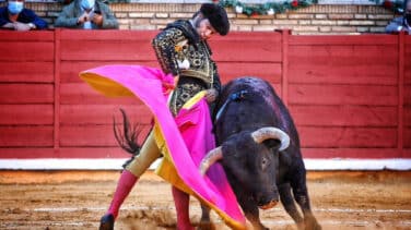 El Supremo establece que la faena de un torero no es propiedad intelectual