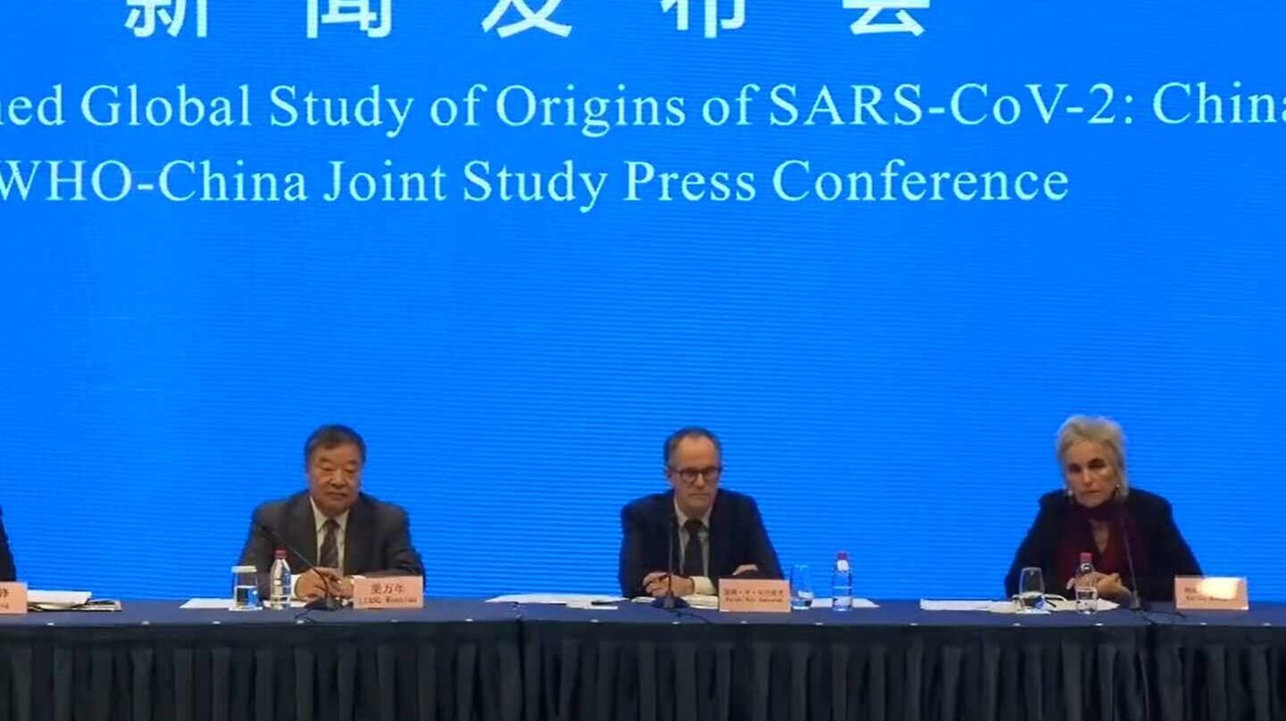 Las conclusiones de la OMS sobre el origen del coronavirus en Wuhan