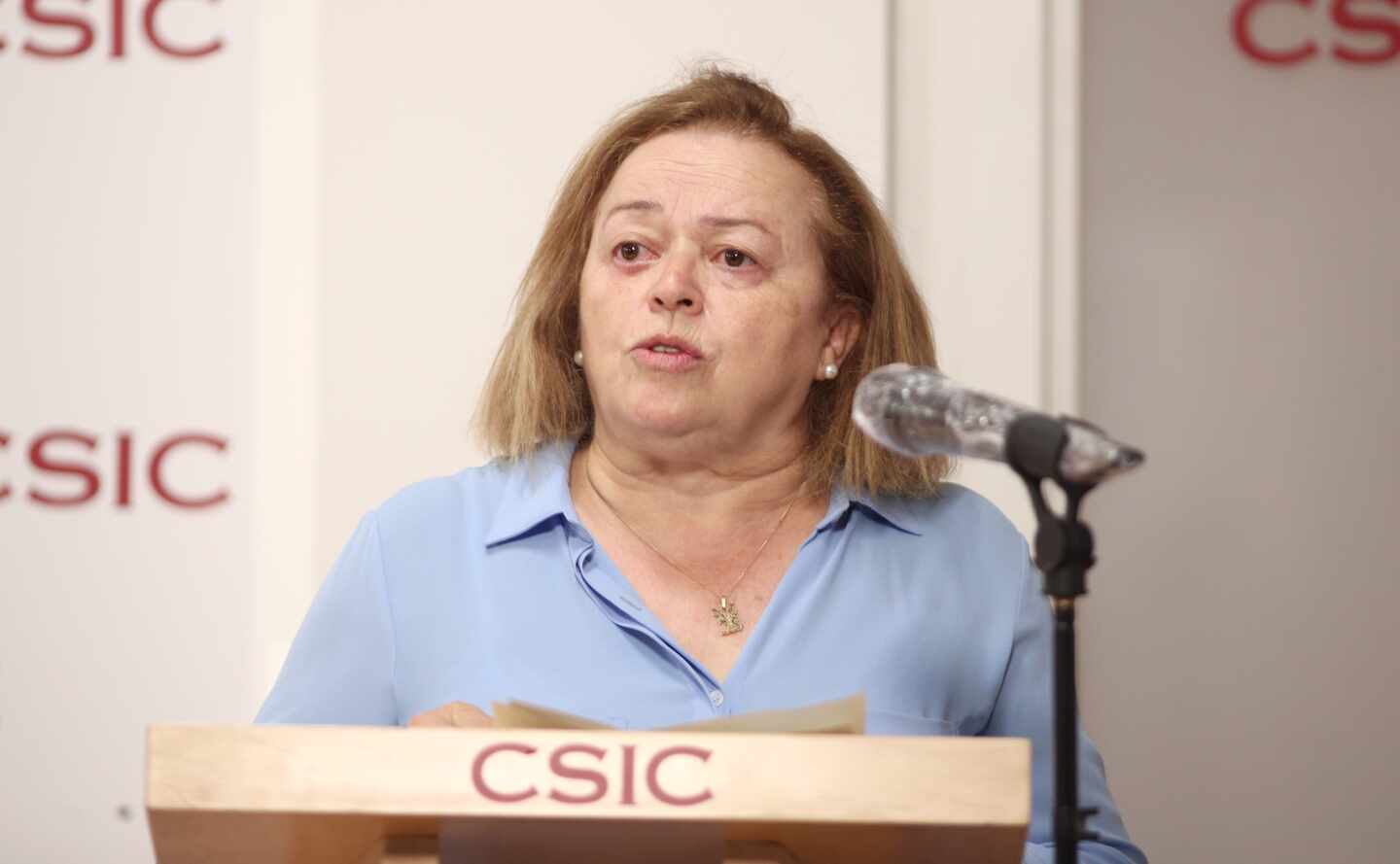 Rosa Menéndez dando un discurso en una rueda de prensa del CSIC
