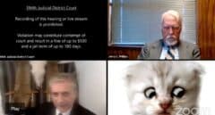 VÍDEO | "Señor juez, no soy un gato": el momento en el que un abogado olvidó quitar un filtro de ZOOM
