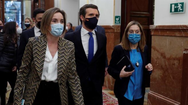 El líder del PP, Pablo Casado, en el Congreso.