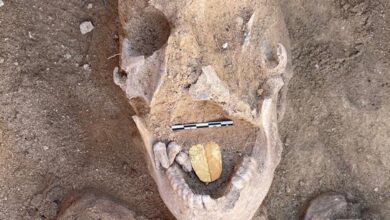 Descubren una momia con la lengua de oro en la búsqueda de Cleopatra