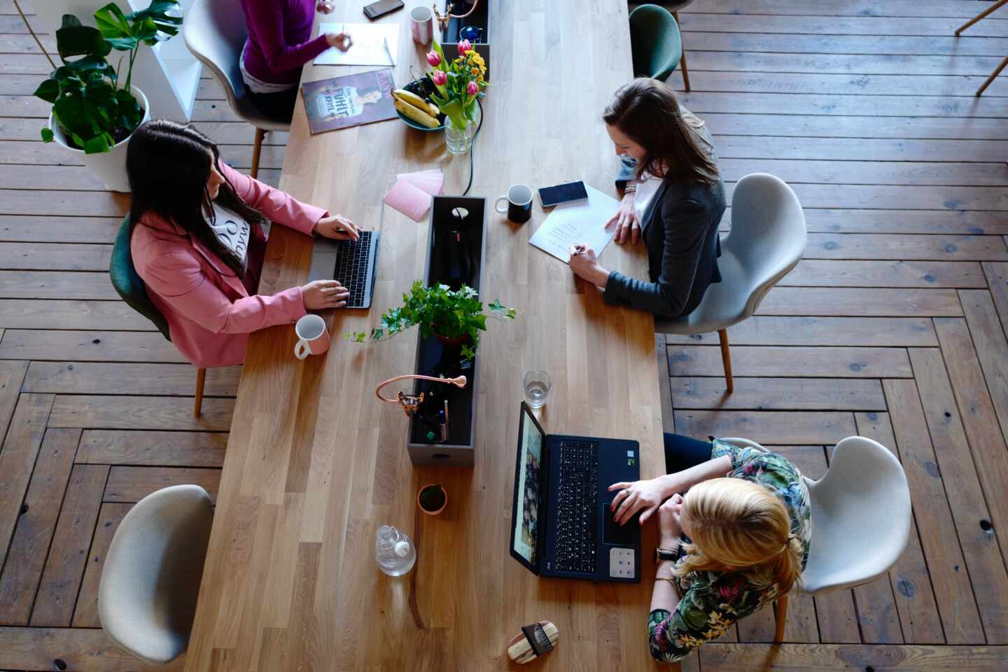 Varias mujeres trabajan delante de sus ordenadores.