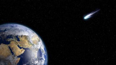 Una nueva teoría apunta a que un cometa acabó con los dinosaurios, no un asteroide