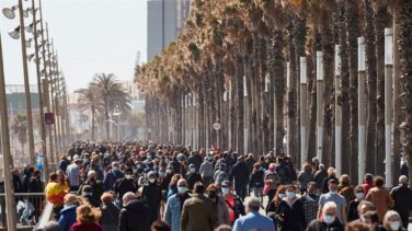 España registra 5.516 nuevos contagios y 201 muertes por Covid en las últimas 24 horas