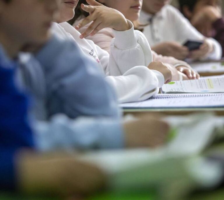 Sólo 15 centros de 1.200 han impartido la unidad didáctica sobre la violencia en Euskadi