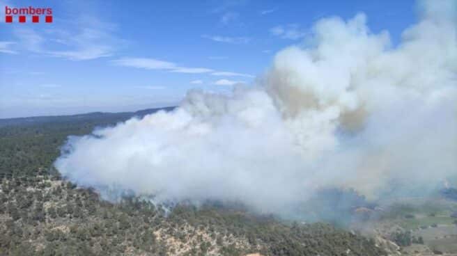 Un incendio forestal en la provincia de Tarragona activa 30 dotaciones de los Bomberos