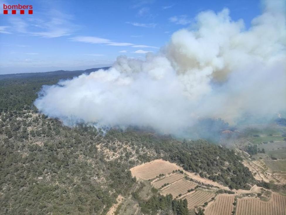 Un incendio forestal en la provincia de Tarragona activa 30 dotaciones de los Bomberos