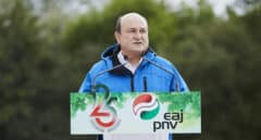 Ortuzar: "Sería irresponsable romper la legislatura, pero va tanto el cántaro a la fuente..."