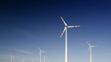CO2 Revolution, Reby y Revolución Limo, las startups más sostenibles