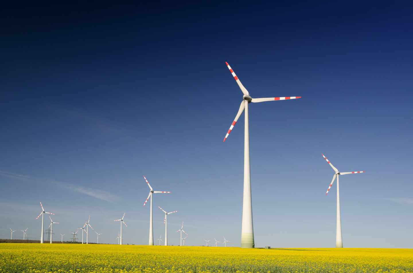 Una planta de energía eólica