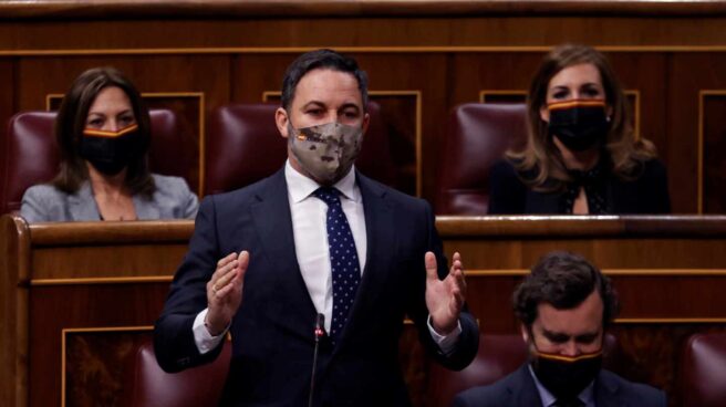 Santiago Abascal, en el Congreso.