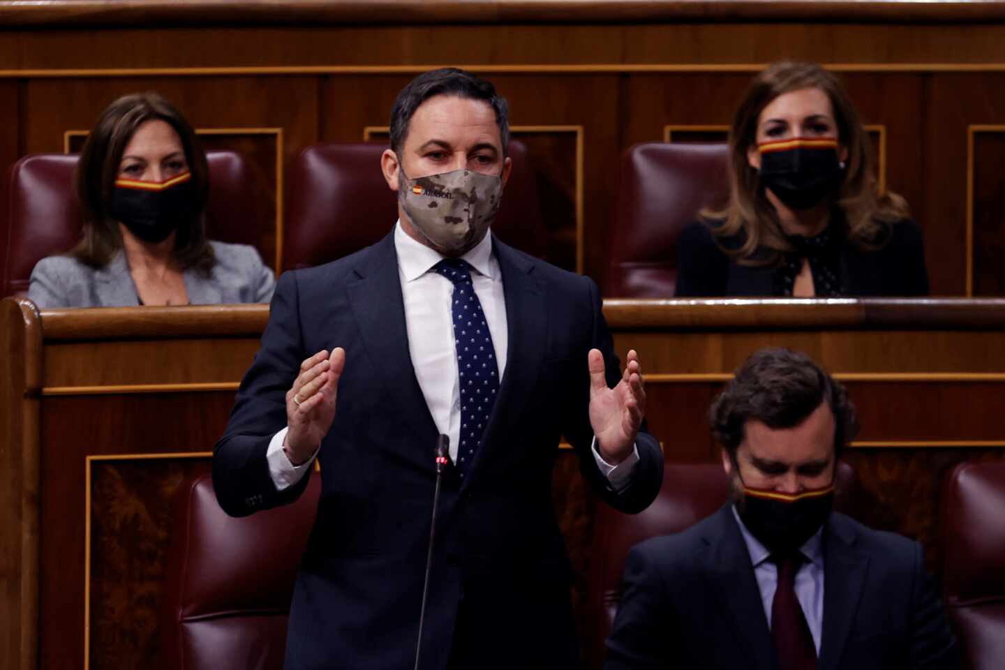 Santiago Abascal, en el Congreso.