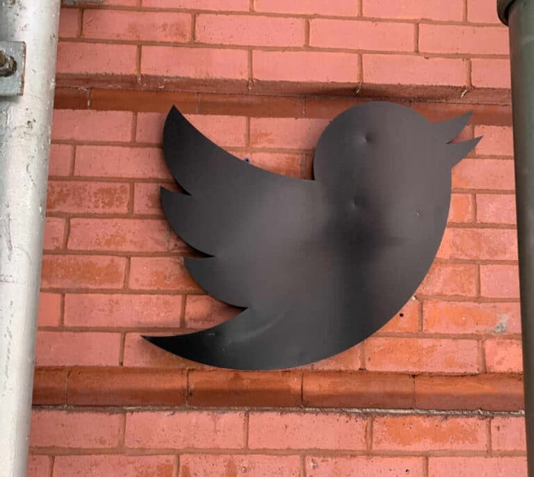 "Feminazi", "cerda", "falsa": políticas y periodistas, las más insultadas en Twitter