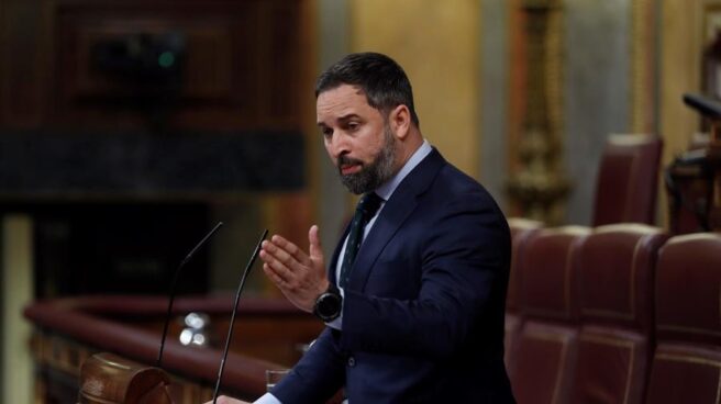 Santiago Abascal, durante una sesión de control al Gobierno.