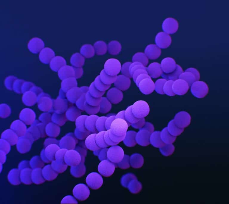 Sari Arponen, experta en microbiota: “Con nuestro estilo de vida es difícil tenerla sana”
